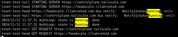 A screenshot showing the output of a command that connects to multiple tailscale backends.